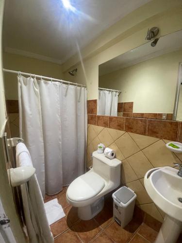 阿拉胡埃拉Hotel 1915 INN & SUITES的一间带卫生间和水槽的浴室