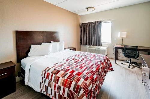 圣安东尼奥Red Roof Inn San Antonio - Seaworld Northwest的配有一张床和一张书桌的酒店客房