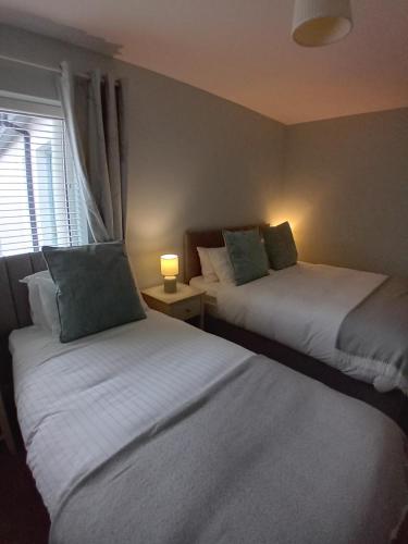 杜林Fairwinds Guest Accommodation的两张床位于带窗户的房间内
