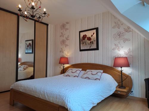 ArdevonB&B La Rive - Le Mont Saint Michel的一间卧室配有一张床和一面大镜子