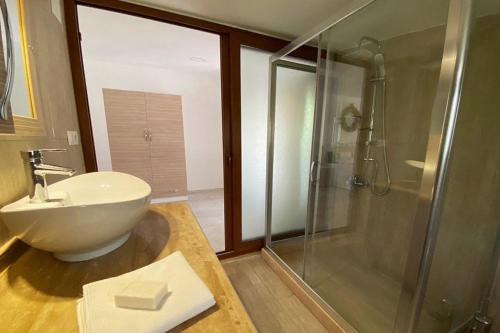 穆拉King Tombs Suit的一间带水槽和玻璃淋浴的浴室