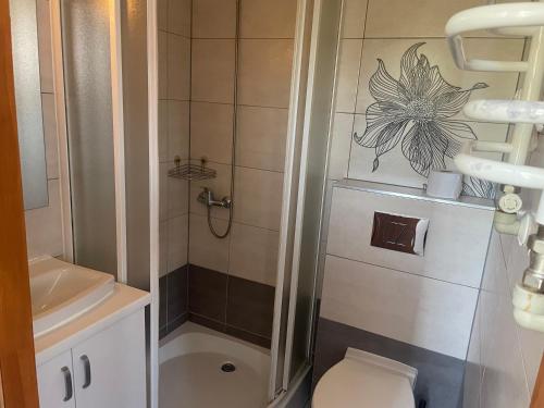 维斯瓦Willa Stenia Apartamenty的带淋浴、卫生间和盥洗盆的浴室