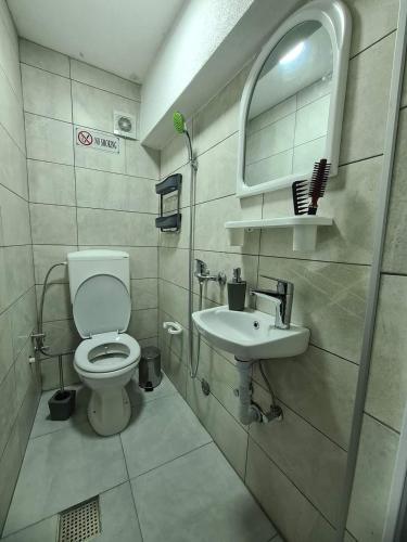 GjakoveApartments Gjakove的一间带卫生间和水槽的浴室