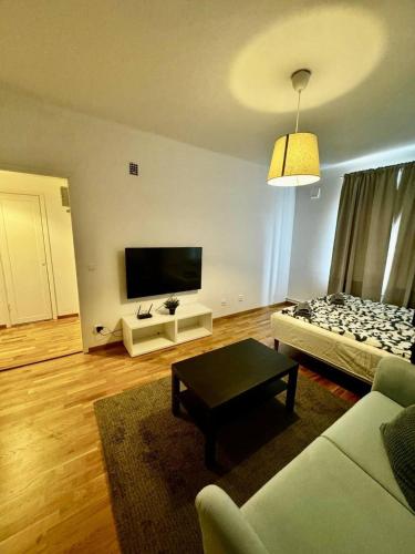 哥德堡Cozy And Central Apartment的带沙发和平面电视的客厅