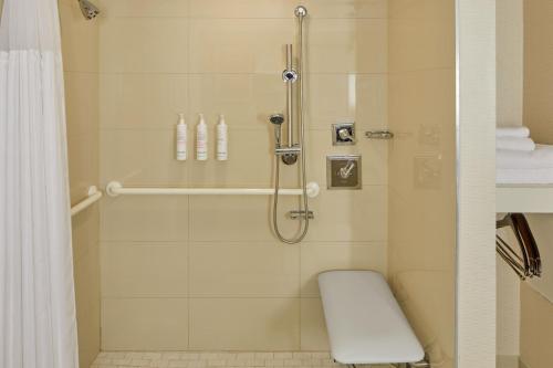 罗缪勒斯底特律都会机场万豪酒店的带淋浴和卫生间的浴室