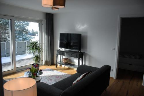 沙伊代格Ferienwohnung Bodenseeblick Nr 8的带沙发和平面电视的客厅