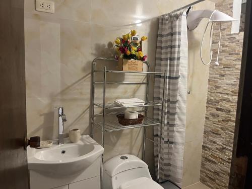 卡哈马卡Mini departamentos Miramar的一间带水槽和卫生间的小浴室