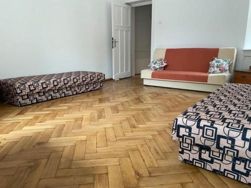 罗兹Apartament z kominkiem的带沙发和木地板的客厅