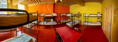乌得勒支斯特罗韦斯旅舍的一间房间,里面放着一张双层床