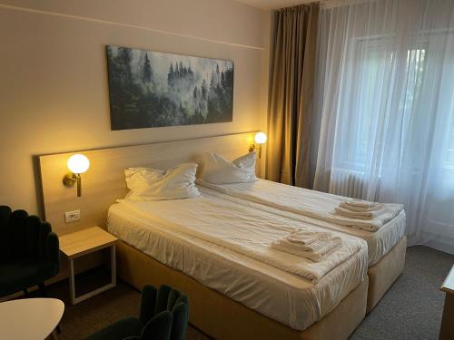 科瓦斯纳Bacolux Santis, Covasna的酒店客房设有床和窗户。