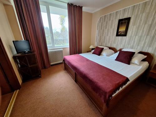 哈卡尼Komfort Hotel Platan的一间卧室设有一张大床和一个窗户。