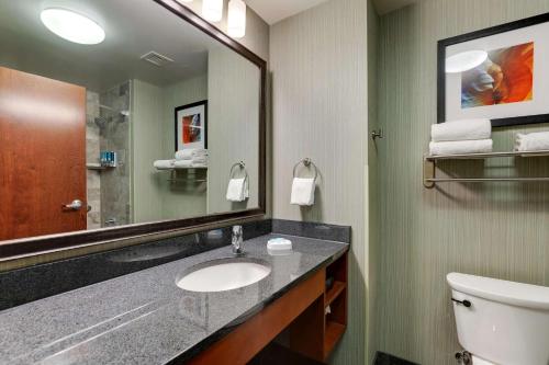 钱德勒德鲁里凤凰城钱德勒时尚中心套房酒店的一间带水槽和镜子的浴室