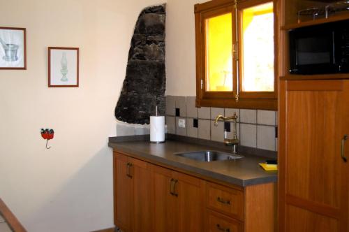 El Rosario芬卡拉马加德拉酒店的厨房设有水槽和窗户。