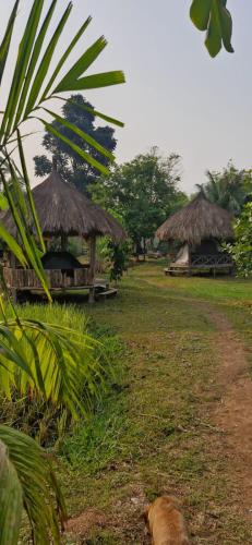 BOLAVEN GARDEN Bungalow and tent - Tad Lo