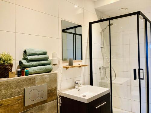 滨海卡特韦克尼科莱特公寓酒店的一间带水槽和淋浴的浴室