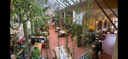 锡吉什瓦拉阿尔特博斯特旅馆的建筑里充满植物的房间