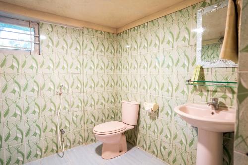斯里曼加尔乌帕齐拉Lemon Garden Resort & Spa的一间带卫生间和水槽的浴室