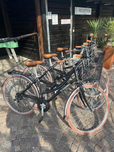 加尔达湖滨格伦贝拉公寓的一组自行车彼此停放