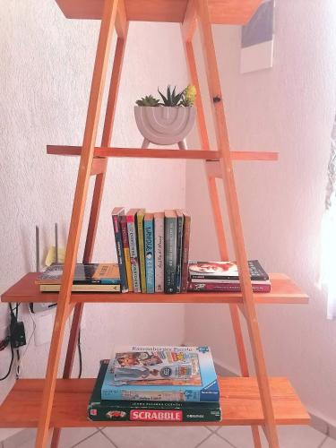 图卢姆La puerta gris的木架上放着书,上面放着植物