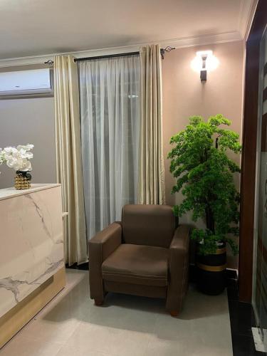 多多马ROSA HOTEL AND APARTMENT - ILAZO的一间带椅子和植物的客厅