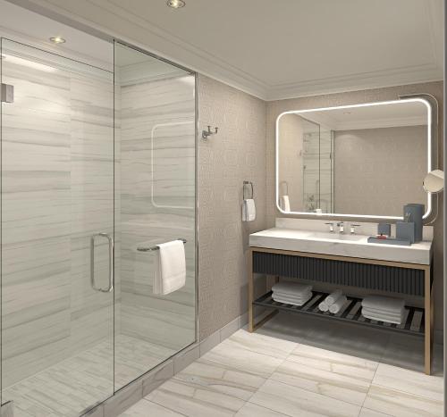 埃德蒙顿Fairmont Hotel Macdonald的带淋浴、盥洗盆和镜子的浴室