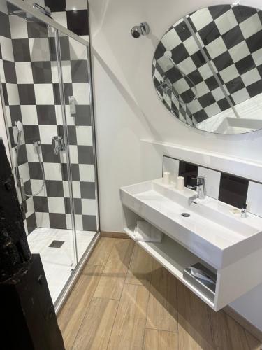 博让西格兰德酒店的一间带水槽和淋浴的浴室