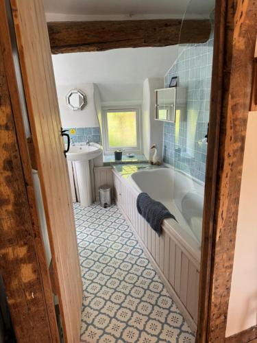 Llanrhaeadr-ym-MochnantAnnie’s Cottage的带浴缸和盥洗盆的浴室
