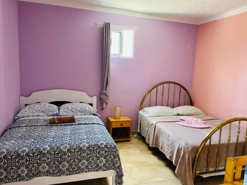 PortelaCasa Adriano & Filomena的紫色墙壁客房的两张床
