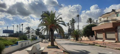突尼斯Vip Tunisia center的一条种有棕榈树的城市街道和一座建筑