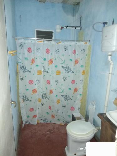 阿里斯托布罗德瓦里Alojamiento Aristobulo del valle Misiones的一间带卫生间和淋浴帘的浴室