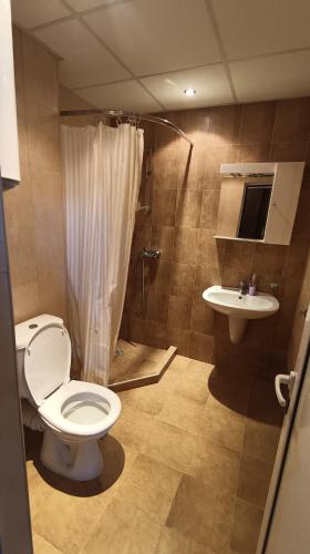 潘波洛沃Лъки 25的一间带卫生间和水槽的浴室