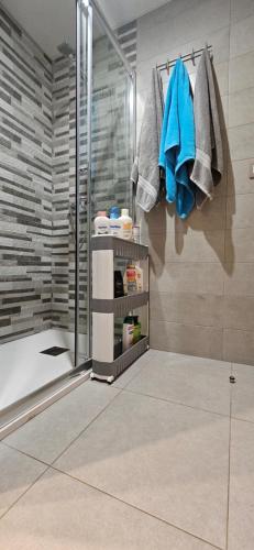 阿勒纳勒斯德尔索尔Happy Place Apartament的带淋浴和步入式淋浴间的浴室