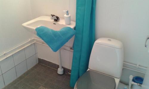 韦斯特维克丁香度假屋的浴室设有卫生间和带蓝毛巾的盥洗盆。