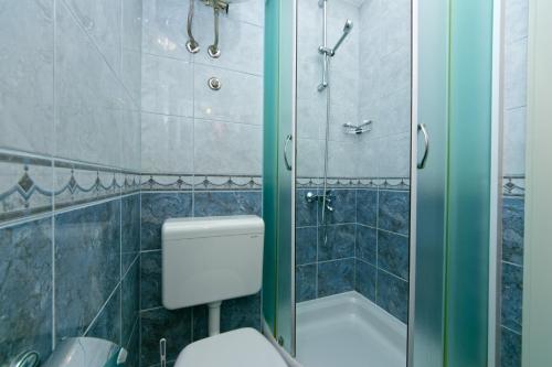 布雷拉Guest house Lenka的浴室配有卫生间、淋浴和浴缸。