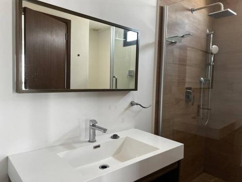 比亚埃尔莫萨Departamento Torre JR Premier Tabasco 2000的浴室配有盥洗盆和带镜子的淋浴