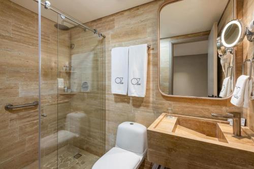 卡塔赫纳Oz Hotel Cartagena的带淋浴、卫生间和盥洗盆的浴室