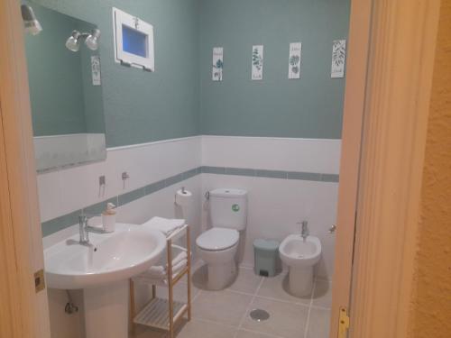 巴达霍斯HOSTAL ENTREOLIVOS的一间带水槽、卫生间和镜子的浴室