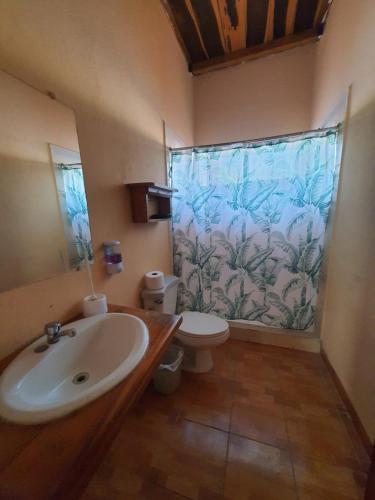 弗洛勒斯Habitacion cerca del lago的浴室配有水槽和带浴帘的卫生间