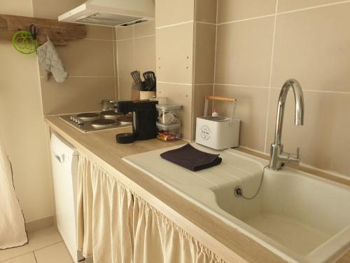 圣马迪拉莫Appartement le loft的厨房柜台配有水槽和咖啡壶