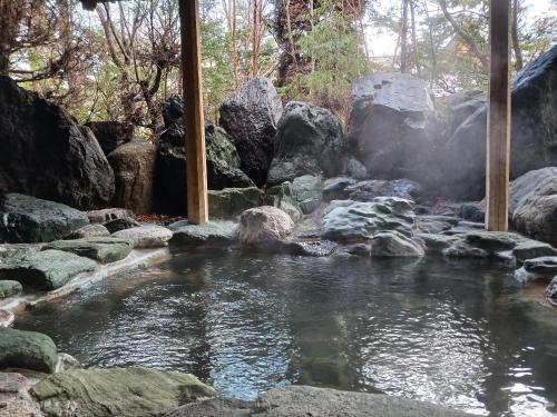 富士河口湖光风阁酒店的一片种满岩石和树木的海水