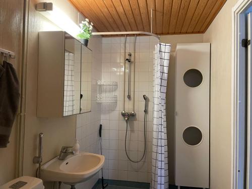波尔沃Rauhallinen rivitalon pääty的带淋浴和盥洗盆的浴室