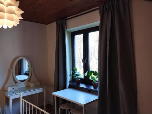 康斯坦钦-耶焦尔纳Nest 4 Rest的客房设有带桌子和镜子的窗户。
