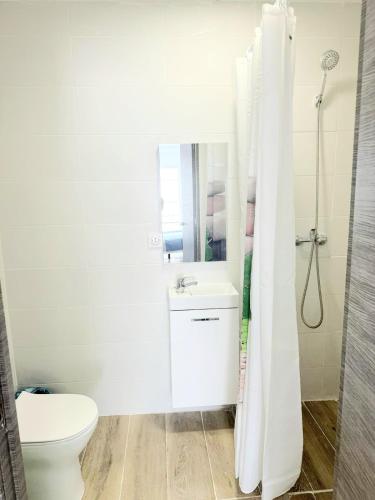 马尼塞斯Apartamentos Aeropuerto Valencia的一间带卫生间、水槽和镜子的浴室
