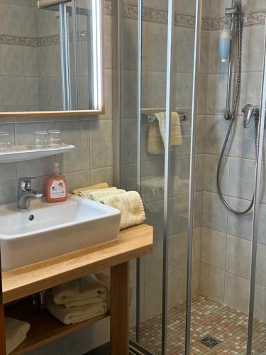 布尔格Hotel am Spreebogen的一间带水槽和淋浴的浴室