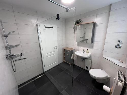 巴贝Familie-und-Meer-2-Badezimmer-3-Schlafzimmer-Strandnah-im-Ostseebad-Baabe-Baabe的浴室配有卫生间、盥洗盆和淋浴。