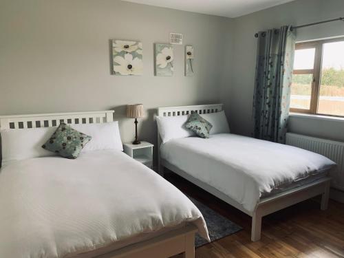 罗斯康芒St John's B and B的一间卧室设有两张床和窗户。