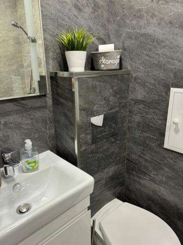 扬博尔Апарт Диана的浴室配有白色卫生间和盥洗盆。
