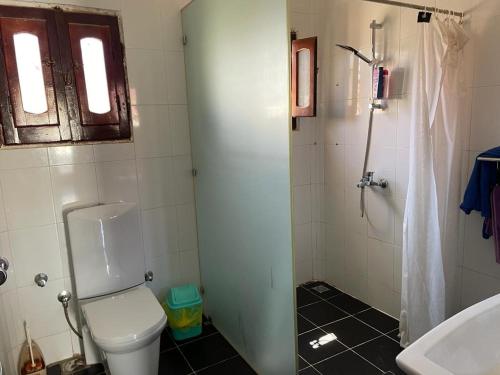 达哈布Eldorado Lodge and Restaurant的浴室配有卫生间、盥洗盆和淋浴。