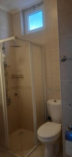 费特希耶La Casa de Oludeniz, Fethiye的一间带卫生间和淋浴及窗户的浴室