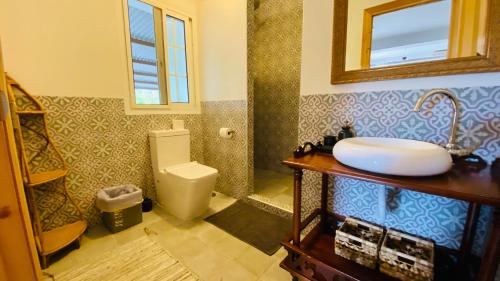 阿尔豪林格朗德Finca del Gecko的一间带水槽和卫生间的浴室
